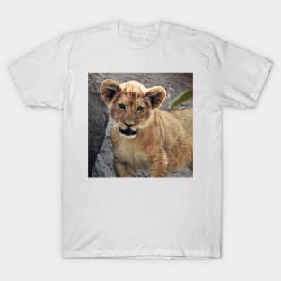 Lion Cub T-Shirt